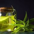 Faire son huile infusée au cannabis