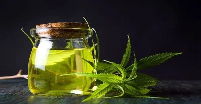 Faire son huile infusée au cannabis