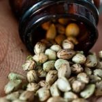 Tester graines de cannabis