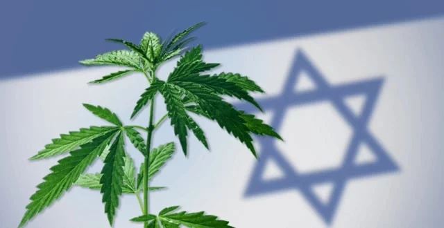 Plant Cannabis Drapeau Israelien