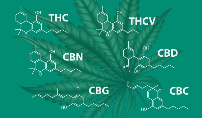 chemical structures of cannabinoids are shown, including THCV, THC, CBN, CBG, CBD and CBC