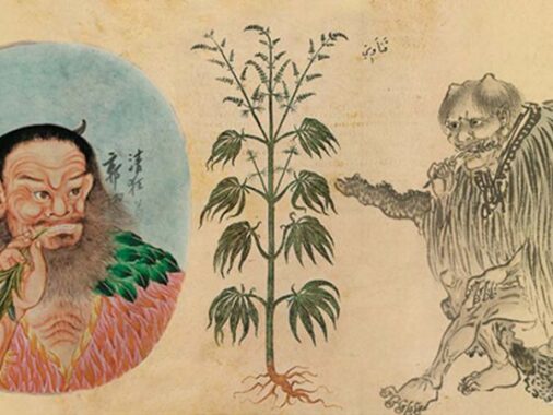 Cannabis peinture chinoise
