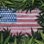 La légalisation du cannabis médical fait baisser les primes d’assurance maladie aux US