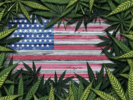 La légalisation du cannabis médical fait baisser les primes d’assurance maladie aux US