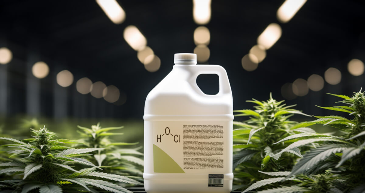 what is hypochlorous acid (hcio) and how to use on cannabis