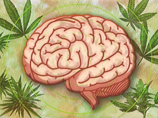 Est-ce que fumer du cannabis détruit vos cellules cérébrales ?