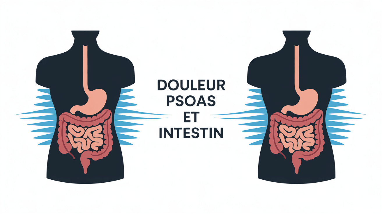 Illustration du lien entre douleur psoas et intestin