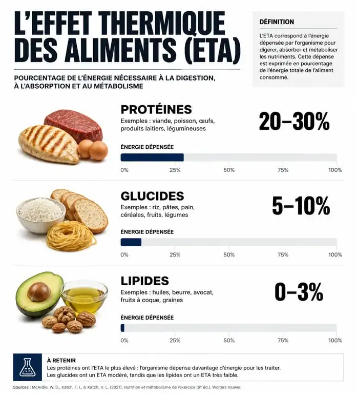 Infographie comparant l'effet thermique des aliments pour booster le métabolisme