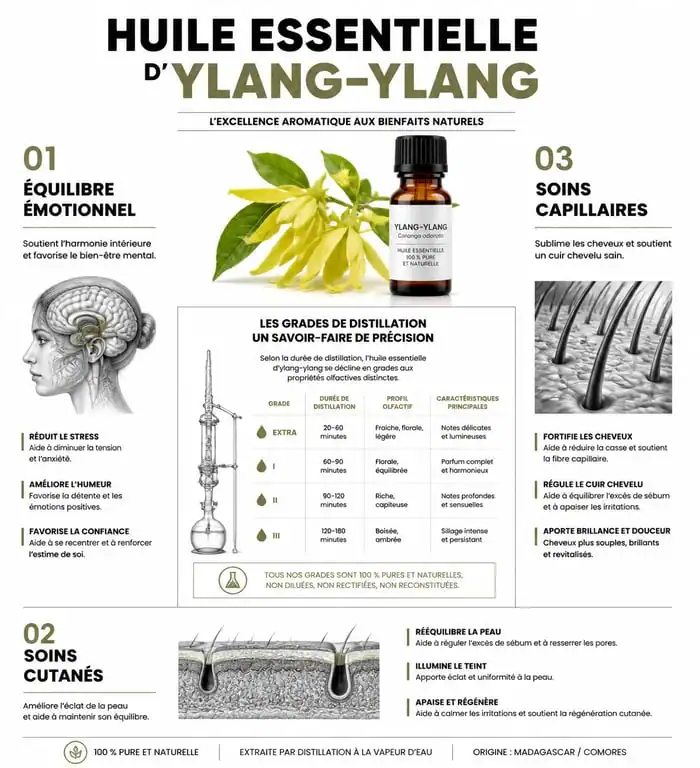 Infographie des bienfaits de l'huile essentielle d'ylang-ylang pour la peau, les cheveux et le bien-être émotionnel