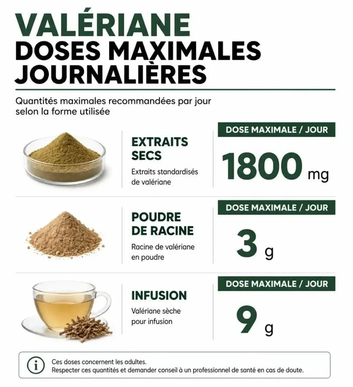 Infographie des doses maximales de valériane par jour selon la forme galénique
