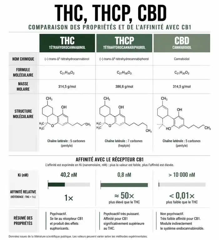 Infographie comparative des effets et de la puissance du THCP par rapport au THC et au CBD