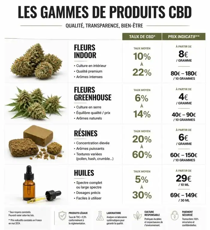 Infographie comparative des produits CBD Cannabise : fleurs, huiles et résines