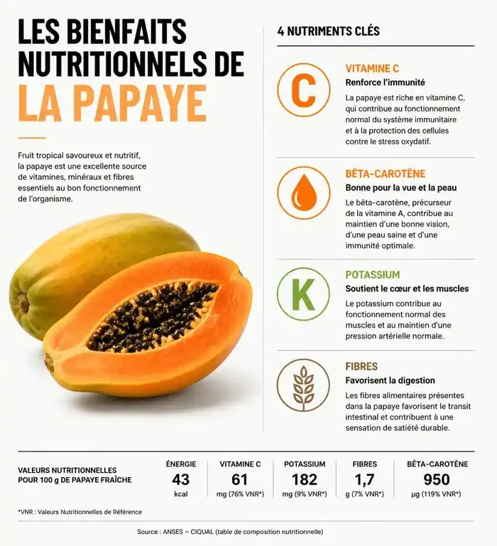 Infographie des bienfaits nutritionnels de la papaye pour la santé