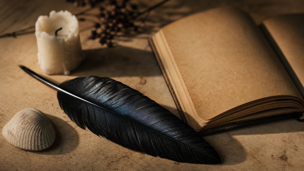 Plume noire signification : photo d’une plume noire pour protection et transformation