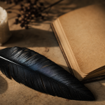 Plume noire signification : photo d’une plume noire pour protection et transformation