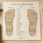 Reflexologie carte du pied : zones du pied gauche