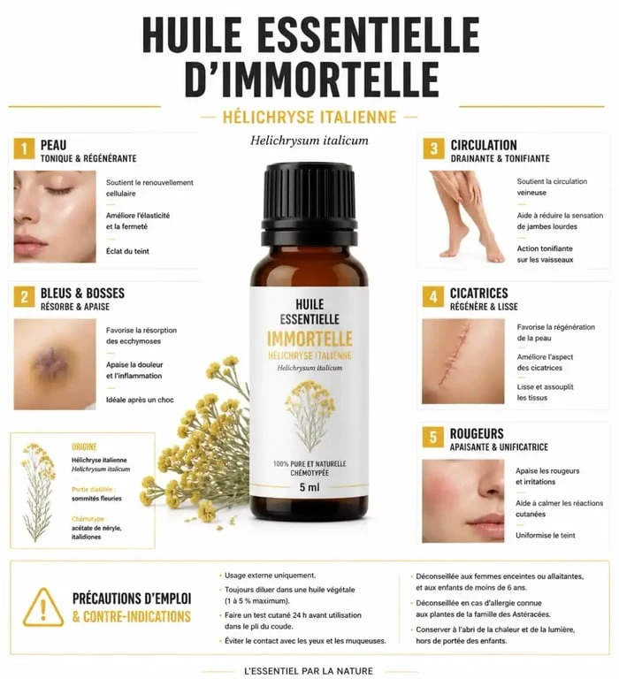 Huile immortelle : usages, propriétés et précautions d’emploi